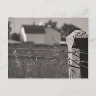Rural Fence Post Postcard