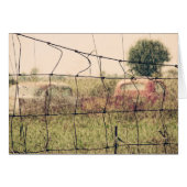 Rural Junkyard, Vechicles Rusting Away in a Field (Front Horizontal)