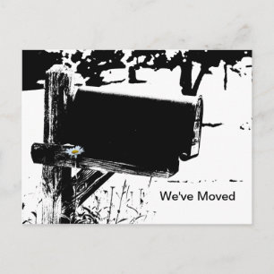 Rural Mailbox and Daisy Postcard