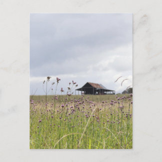 Rural meadow with green grass postcard