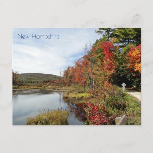 Rural New Hampshire Dirt Road Autumn Leaves Postcard