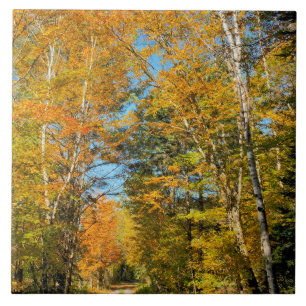 Rural Road Autumn Colors New Hampshire Ceramic Tile