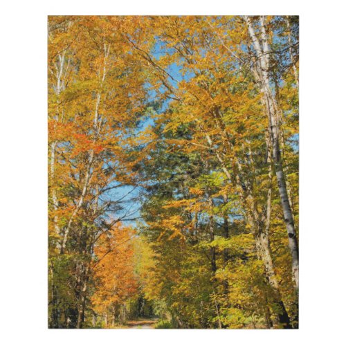 Rural Road Autumn Colors New Hampshire Faux Canvas Print