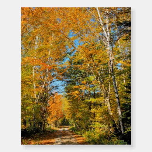 Rural Road Autumn Colors New Hampshire Foam Board