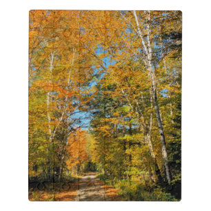 Rural Road Autumn Colors New Hampshire Jigsaw Puzzle