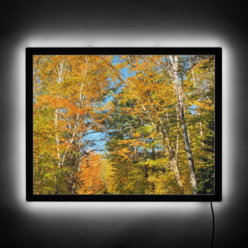 Rural Road Autumn Colors New Hampshire LED Sign