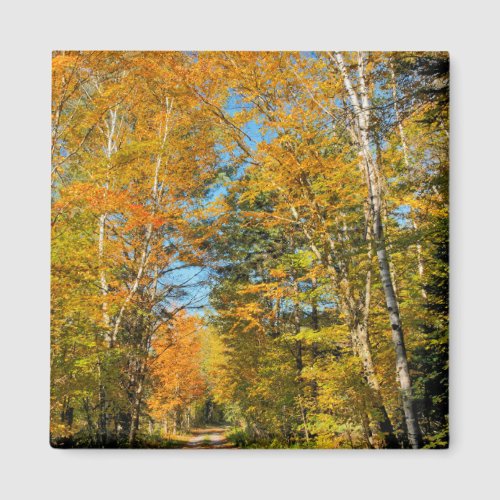 Rural Road Autumn Colors New Hampshire Magnet