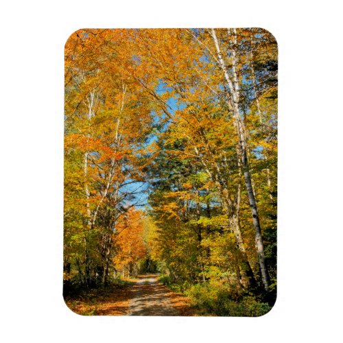 Rural Road Autumn Colors New Hampshire Magnet