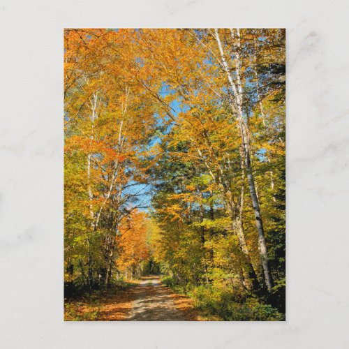 Rural Road Autumn Colors New Hampshire Postcard