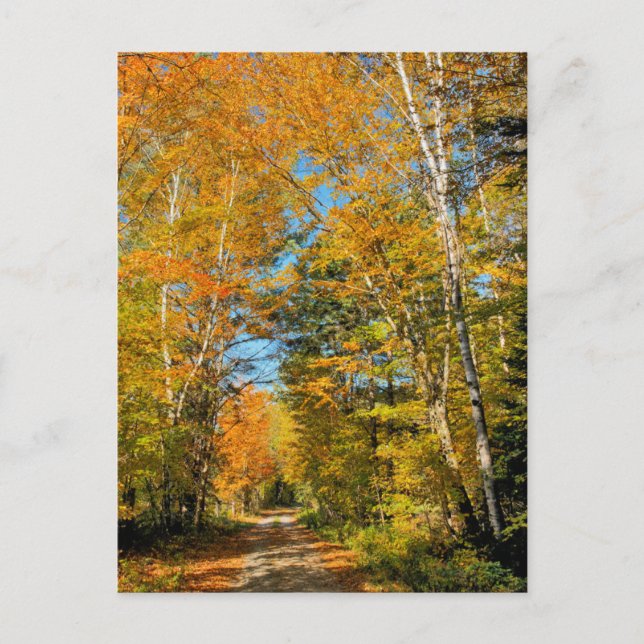 Rural Road Autumn Colors New Hampshire Postcard (Front)