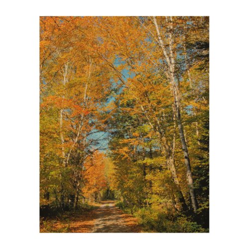 Rural Road Autumn Colors New Hampshire Wood Wall Art