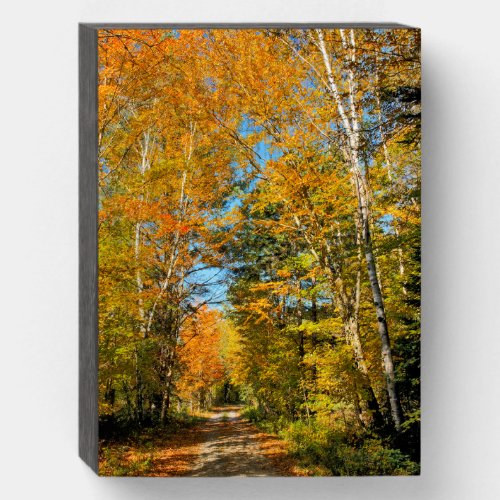 Rural Road Autumn Colors New Hampshire Wooden Box Sign