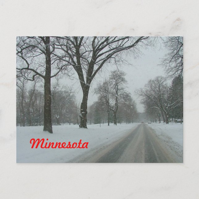 Rural road in Minnesota Postcard (Front)