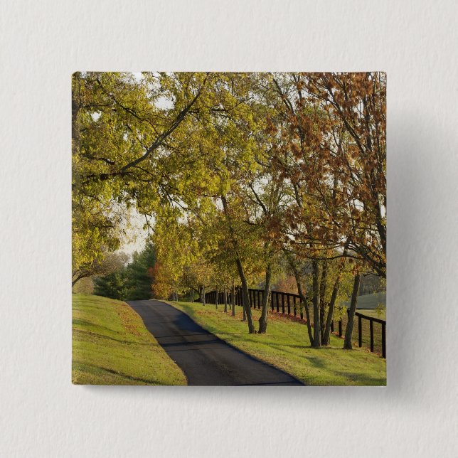 Rural road through Bluegrass region of Kentucky 2 Button (Front)