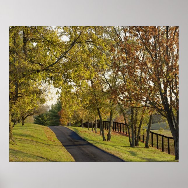 Rural road through Bluegrass region of Kentucky 2 Poster (Front)