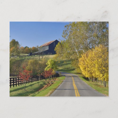 Rural road through Bluegrass region of Kentucky Postcard