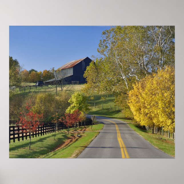 Rural road through Bluegrass region of Kentucky Poster (Front)