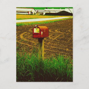 Rural Route Mailbox Postcard