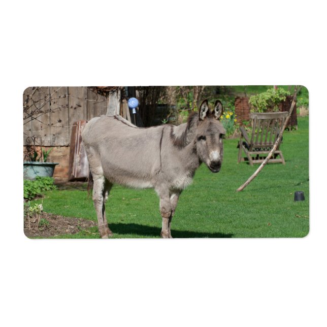 Rural Still Life With Donkey Label (Front)