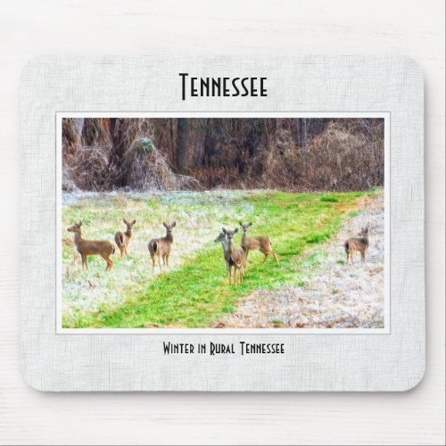 Rural Tennessee Deer in Frost Travel Photography Mouse Pad