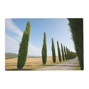 Rural Tree Lined Road, Tuscany Placemat