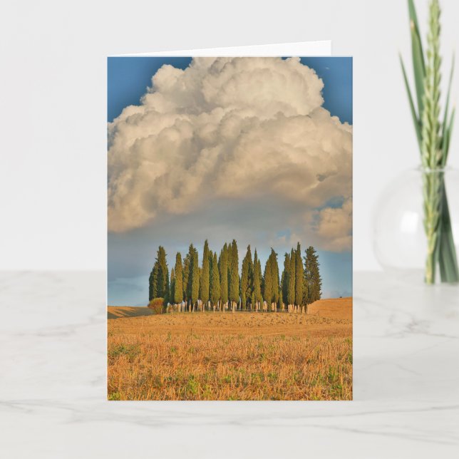 Rural Tuscany Cypress Trees Card (Front)