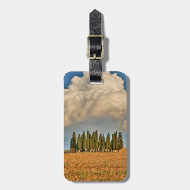 Rural Tuscany Cypress Trees Luggage Tag (Front Vertical)
