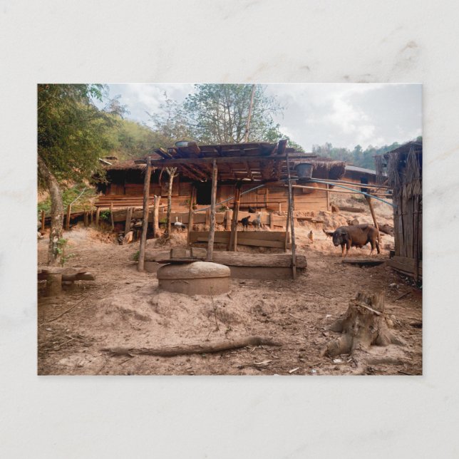 Rural Wooden Village Hut with Animals, Laos Postcard (Front)