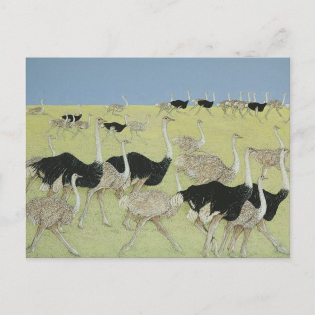 Rush hour 2 postcard (Front)