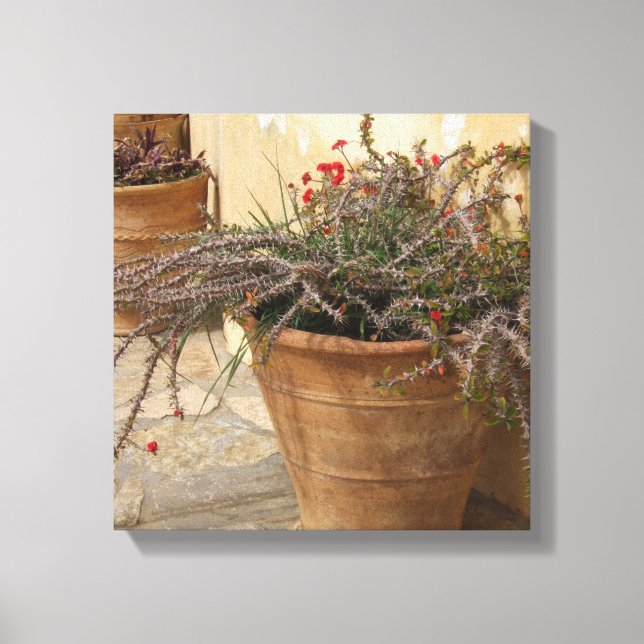 Rusrtic Courtyard Wrapped Canvas Print (Front)