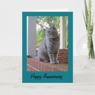 Russ The Cat Happy Anniversary Greeting Card 