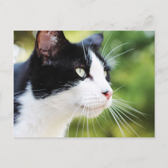 Russell 1 postcard (Front)