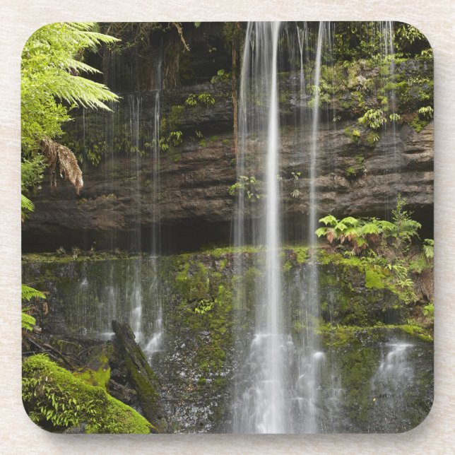 Russell Falls, Mount Field National Park, Beverage Coaster (Front)