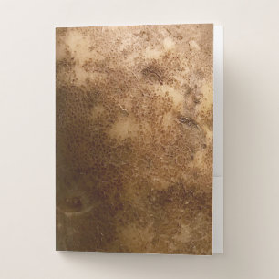 Russet Potato Close Up Photograph Pocket Folder