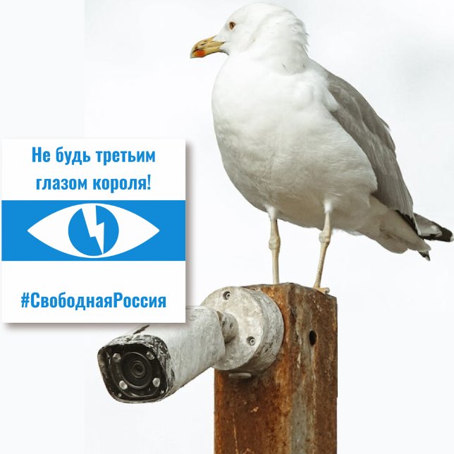 Russia Free Democratic Russian - Third Eye Sticker (Russia Free Democratic Russian - Third Eye Sticker by The Social Observatory Shop)