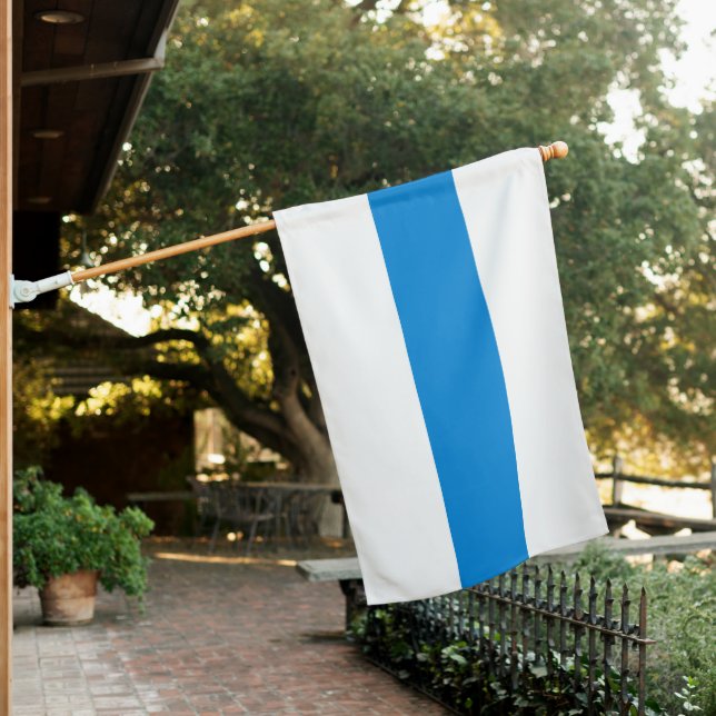 Russian Anti-War Protest Flag for 2022 White Blue (In SItu)