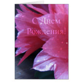 Russian Birthday Card, Schlumbergera (Front)