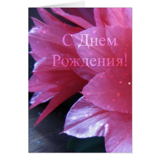 Russian Birthday Card, Schlumbergera (Front)