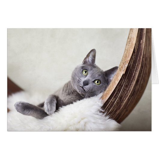 Russian Blue Cards (Front Horizontal)