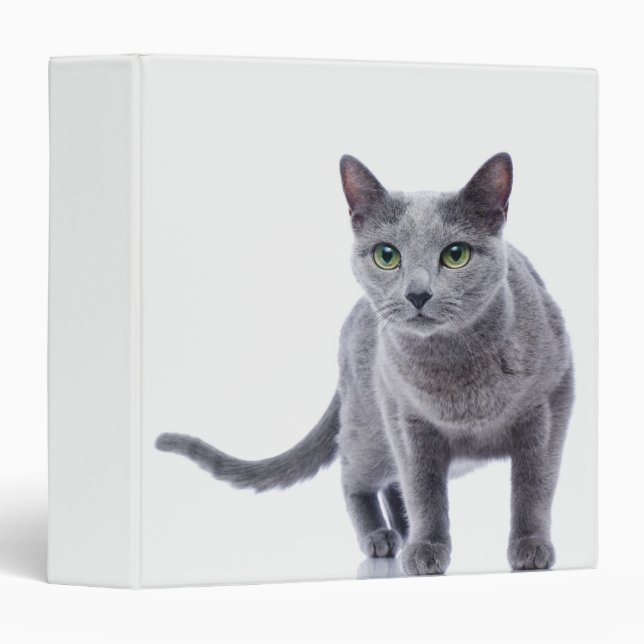 Russian Blue Cat Binder (Front/Spine)