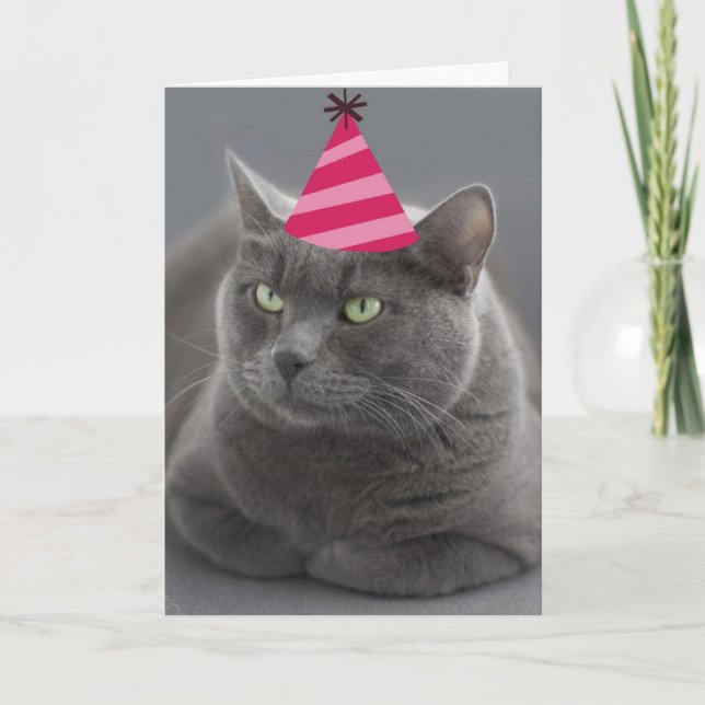 Russian Blue Cat Birthday Card Focus for a Cause (Front)