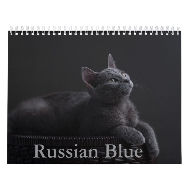 Russian Blue Cat Calendar (Cover)