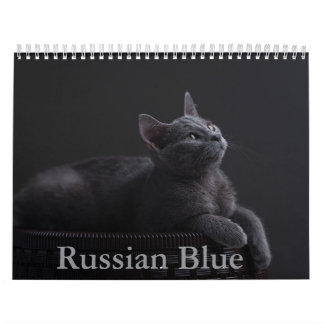 Russian Blue Cat Calendar