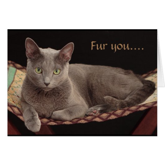 Russian Blue, Cat Card. (Front Horizontal)