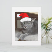 Russian Blue Cat Christmas (Standing Front)