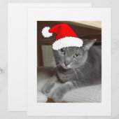 Russian Blue Cat Christmas (Front/Back)