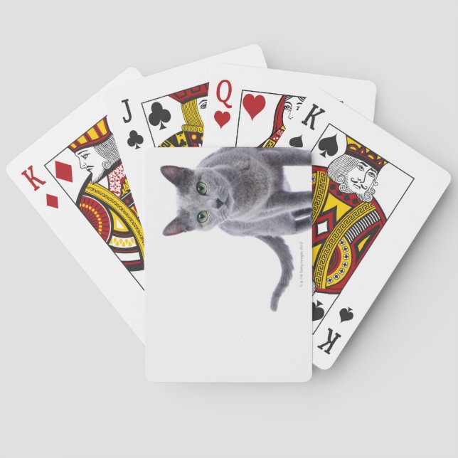 Russian Blue Cat Poker Cards (Back)