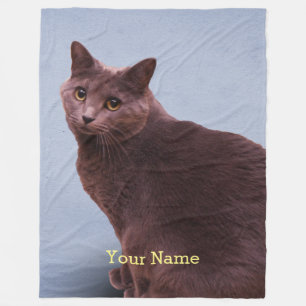 Russian Blue Cat Staring Fleece Blanket