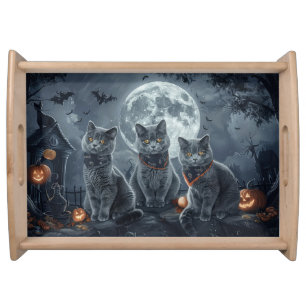 Russian Blue Cats Halloween Spooky Serving Tray