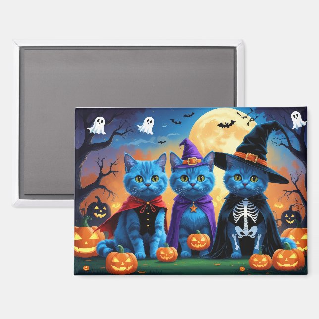 Russian Blue Cats Pumpkin Halloween Funny  Magnet (Front/Back)